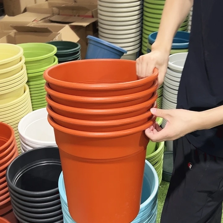 特价翻边口32高35陶红无托5只