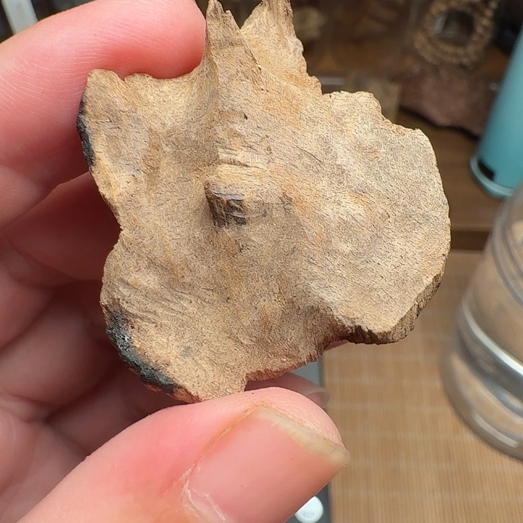 沉香海南熟结老料2.62g