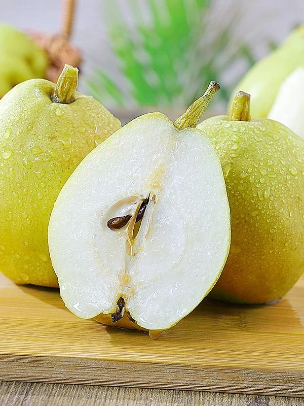 2025正宗新疆库尔勒香梨全母梨新鲜当季水果现采先发整箱包邮