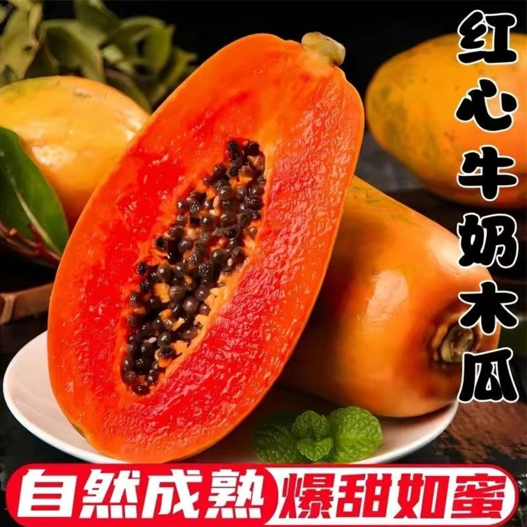 云南树上熟冰糖心红心牛奶木瓜新鲜当季超甜消暑水果