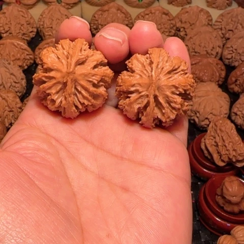 把件文玩核桃霸王龙