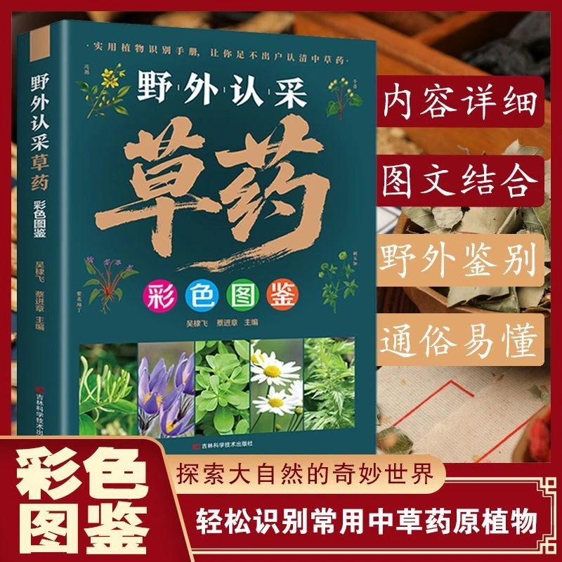 野外草药彩色图鉴 中医入门中草药大全书籍 药材植物彩图大全