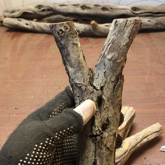 大果紫檀（缅甸花梨）捌*