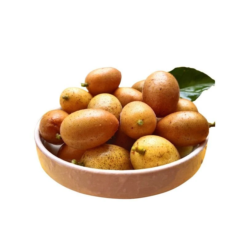 新鲜黄皮果500g  &AM