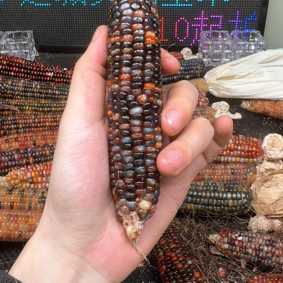 柏香籽/百香籽吊坠ʚ**星