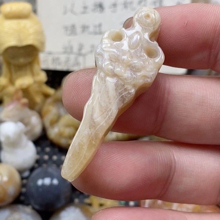 颈饰未镶嵌硅化珊瑚（珊瑚玉）用****1