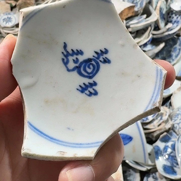 瓷片瓷片标本，顺丰包邮