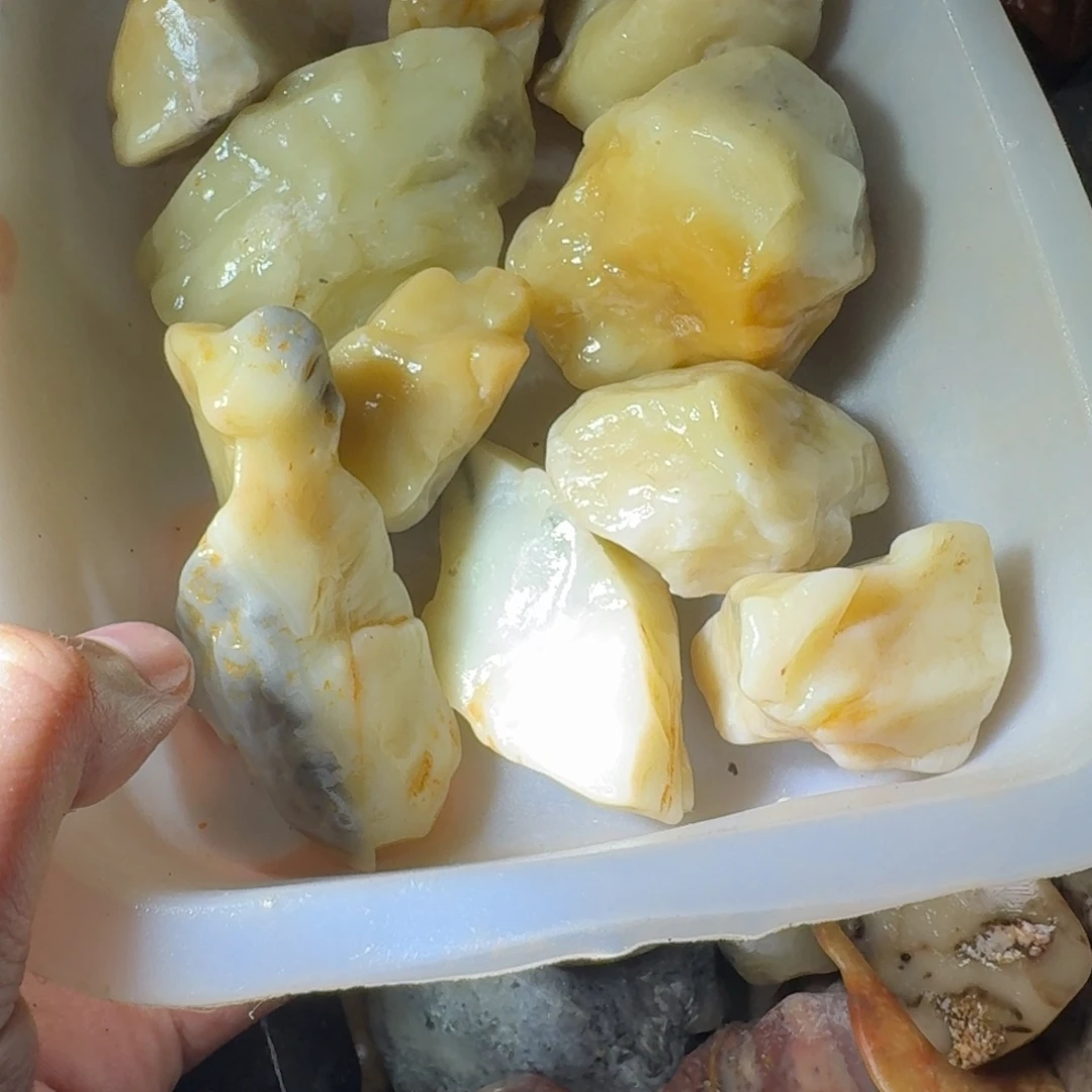 墨***白寿山石88888888888888