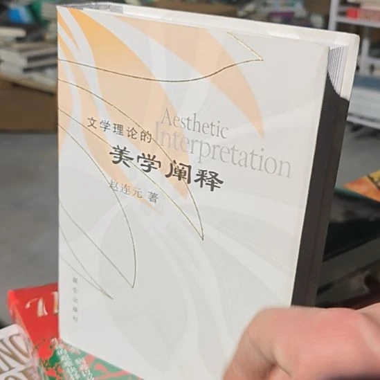 文学理论的美学阐释。