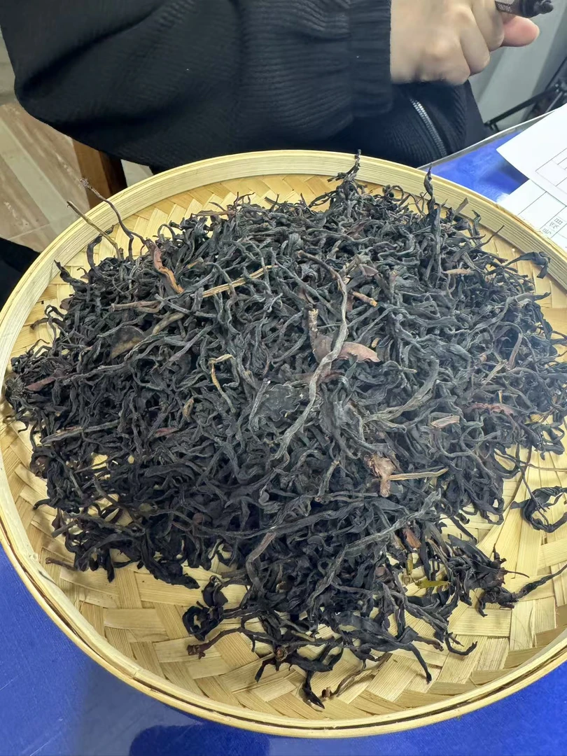 【96】24年千年级野生单株