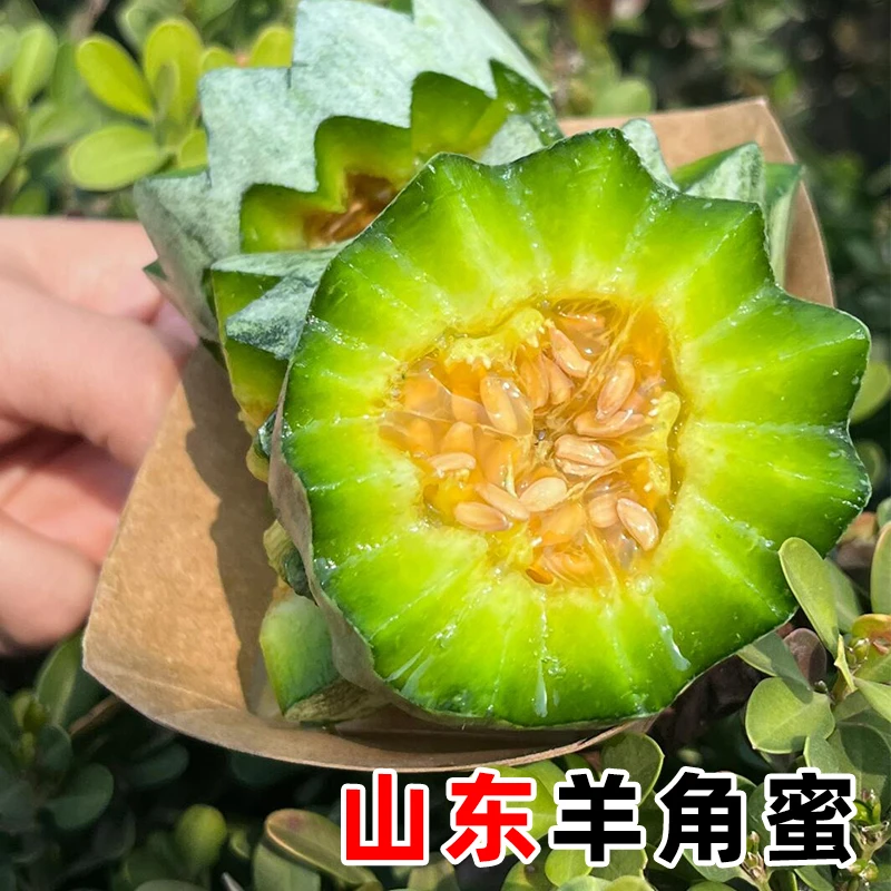 山东羊角蜜脆甜瓜新鲜头茬羊角瓜蜜瓜脆瓜香瓜甜瓜应季孕妇水果