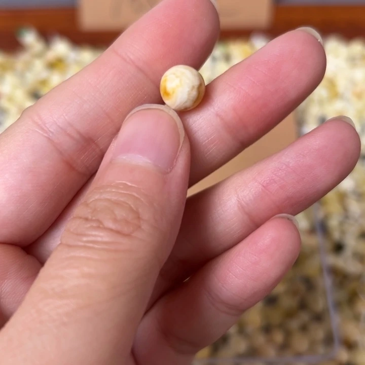 蜜蜡未镶嵌裸石8.6mm一个