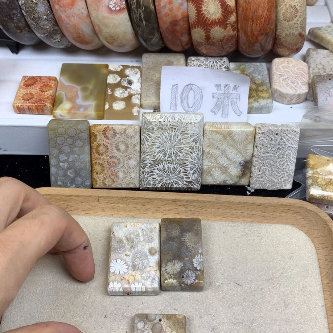 今***天颈饰未镶嵌硅化珊瑚（珊瑚玉）