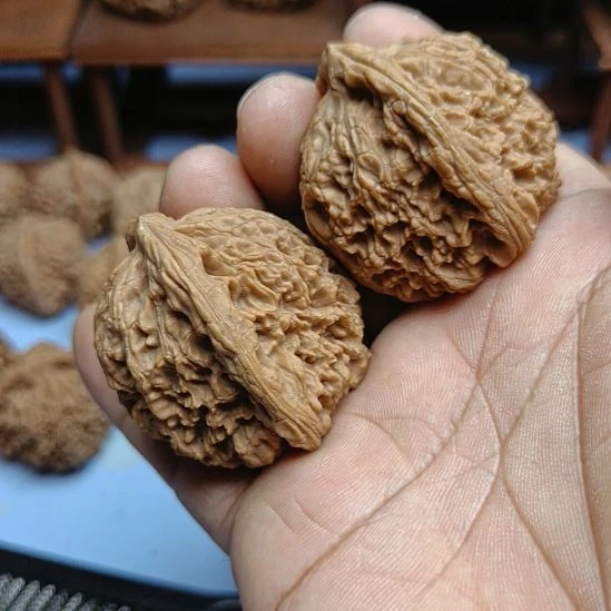 用***2完全开放南疆石核桃