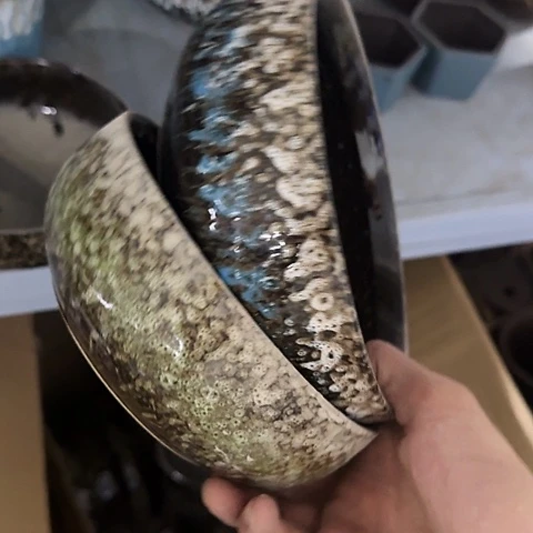 ···2个处理······随机颜色5059
