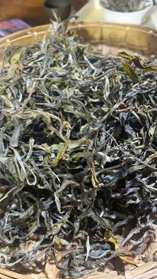 25年薄荷糖高杆单株古树散茶 BT047-B60.0-190