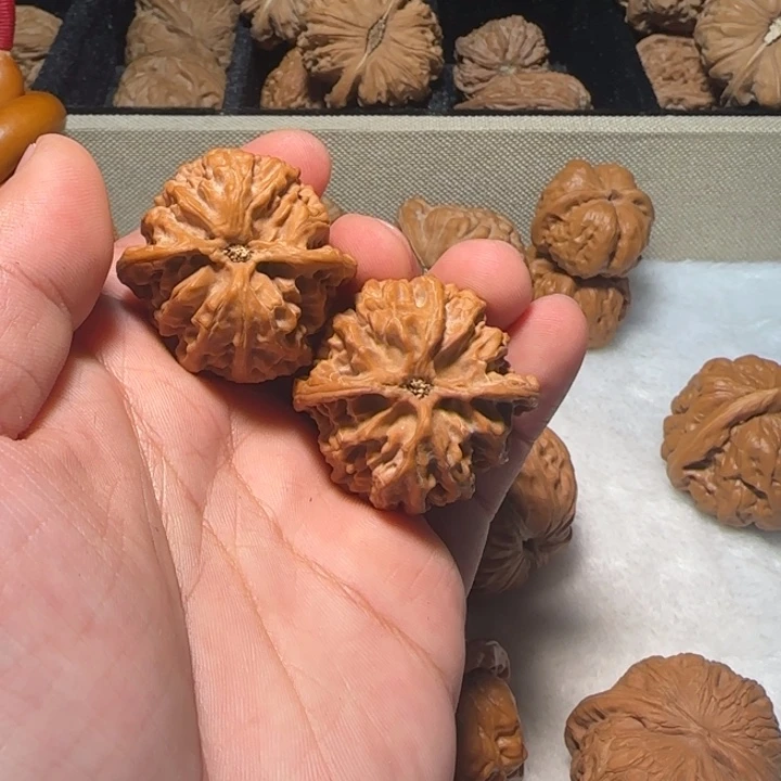 老***。把件文玩核桃苹果园