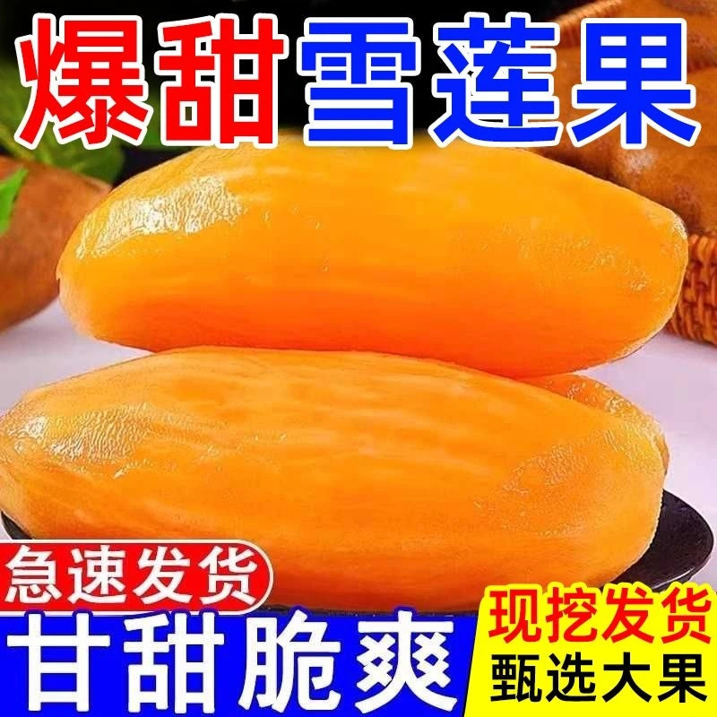 云南天山雪莲果红心新鲜特级水果当季整箱雪莲9斤水莲果一级雪连