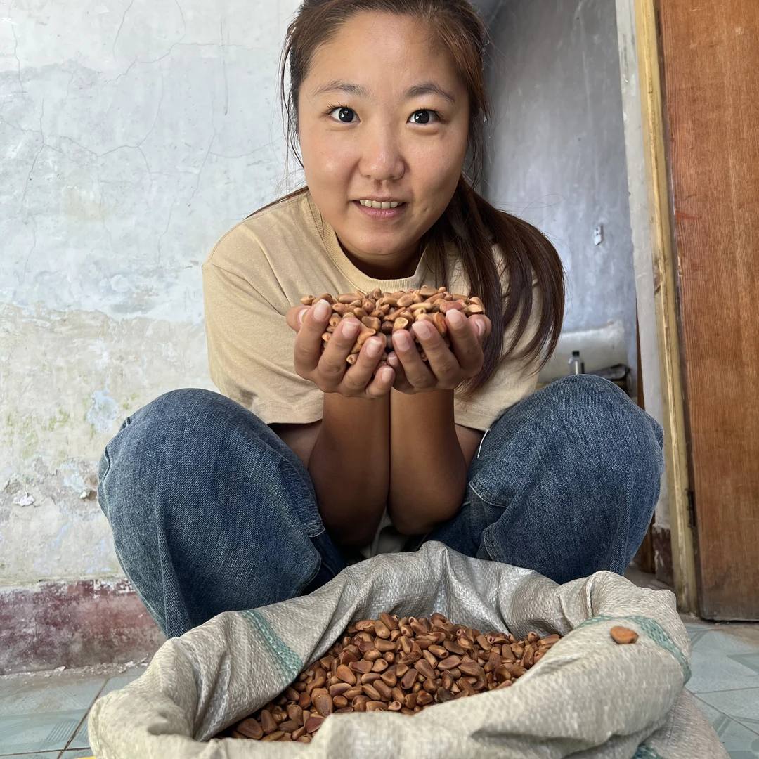 【顺丰包邮】东北原味【生】松子特大颗粒手工挑选原滋原味坚果