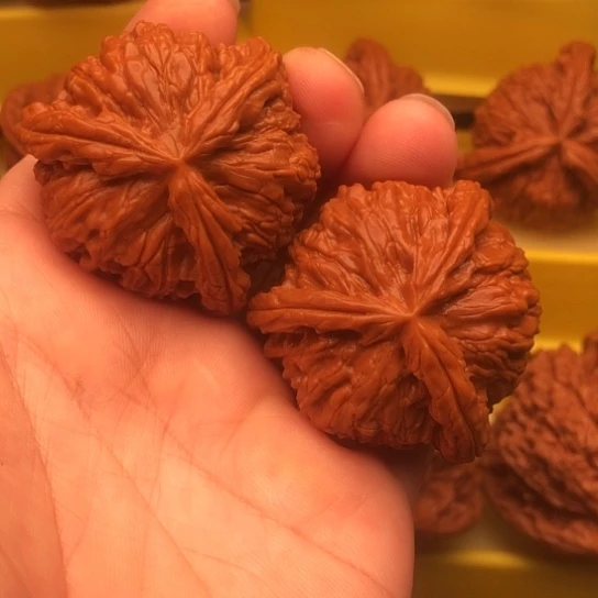 核桃核桃核桃核桃