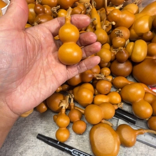 s***s珊珊的一把山上的一把八宝葫芦