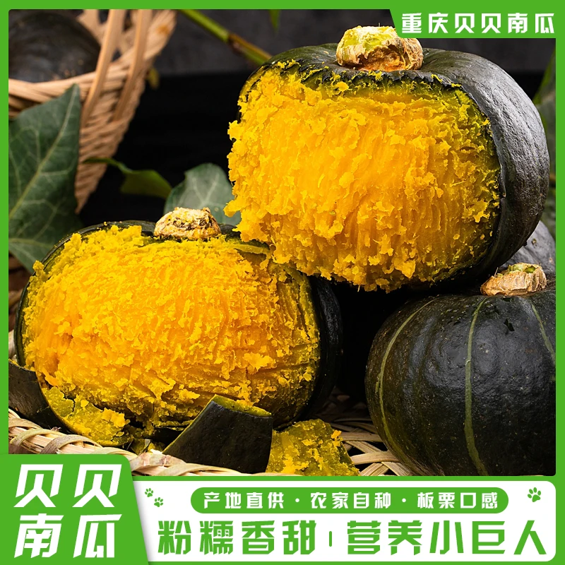 正宗贝贝南瓜小个板栗味儿童新鲜辅食减脂孕妇蔬菜一整箱批发包邮