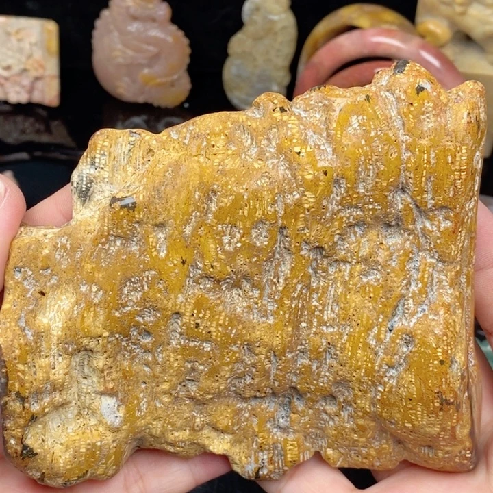 未镶嵌手镯硅化玉