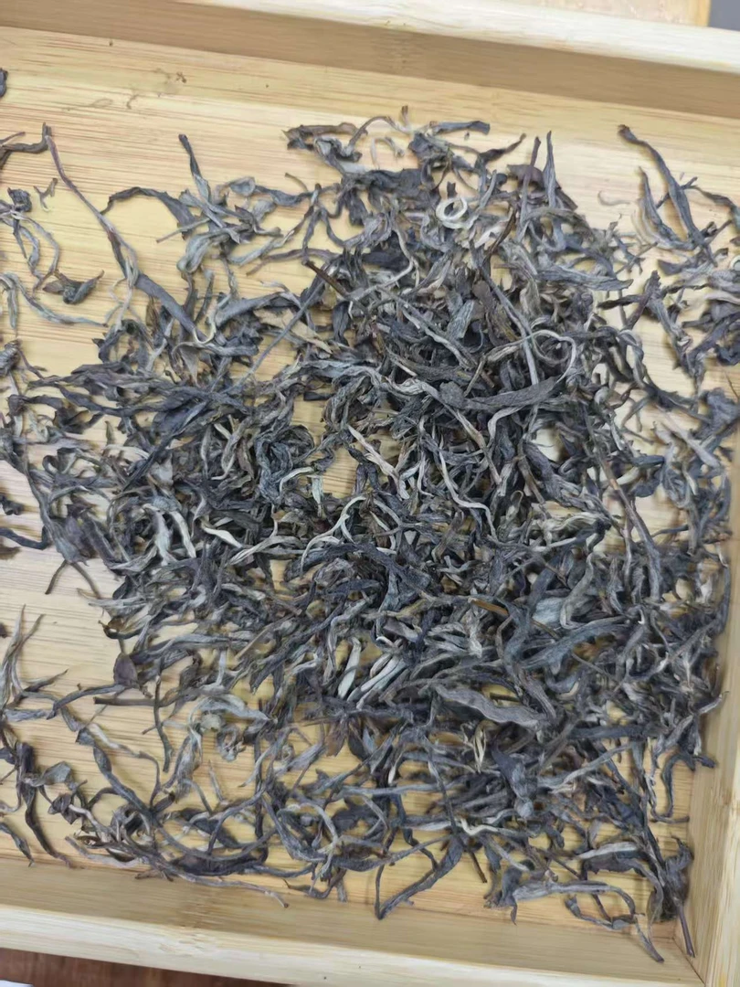 2025年忙肺古树秋生茶散茶100g