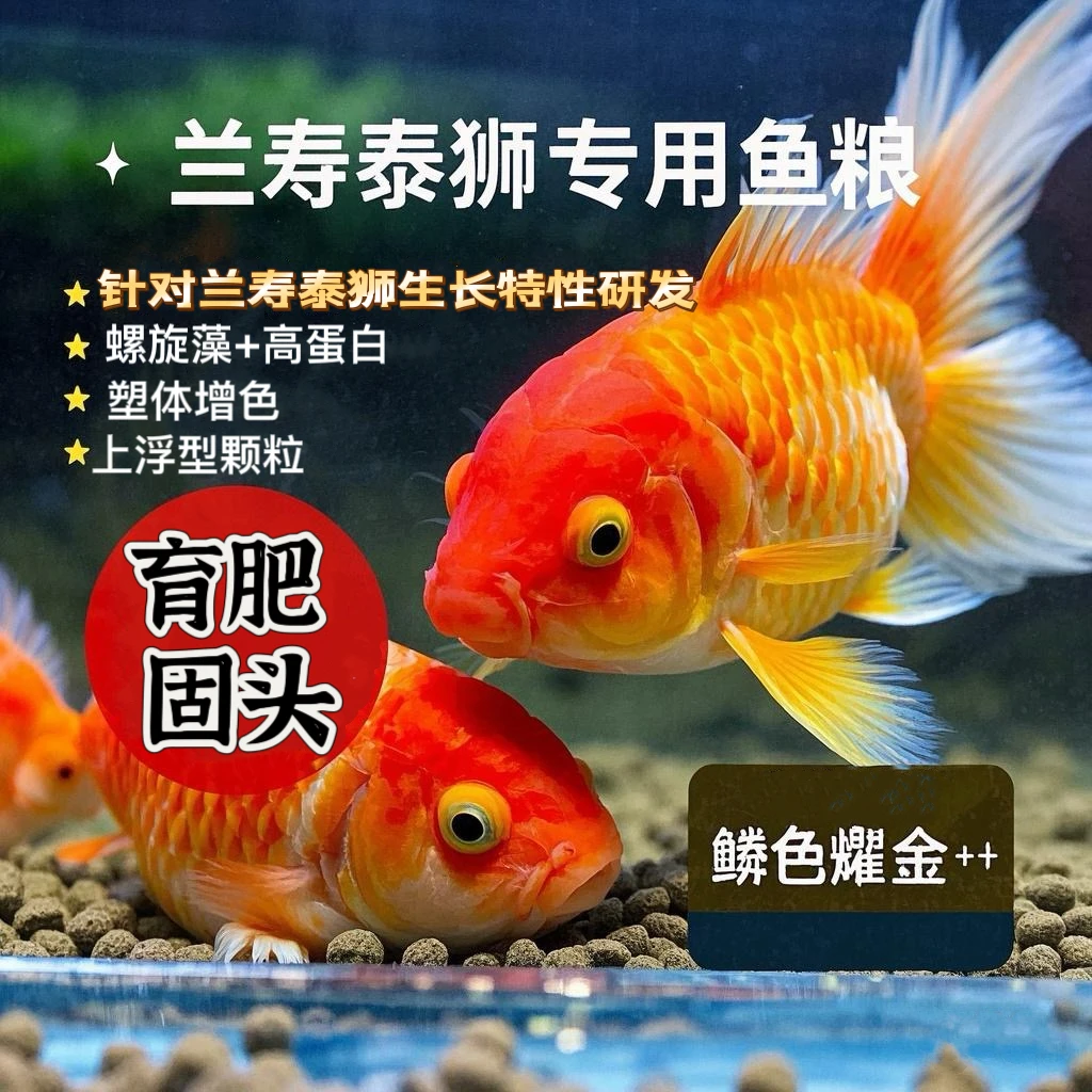 兰寿泰狮乌龟专用上浮型饲料增体发色发头鱼粮全价营养均衡日粮