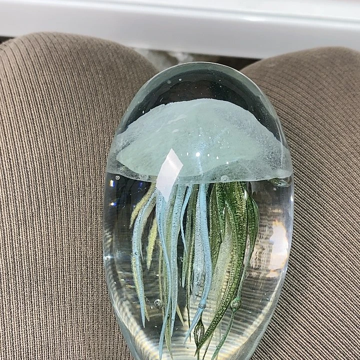 微瑕1226223553526552269