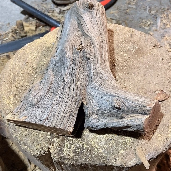 木***景柏木太行山区柏木木木