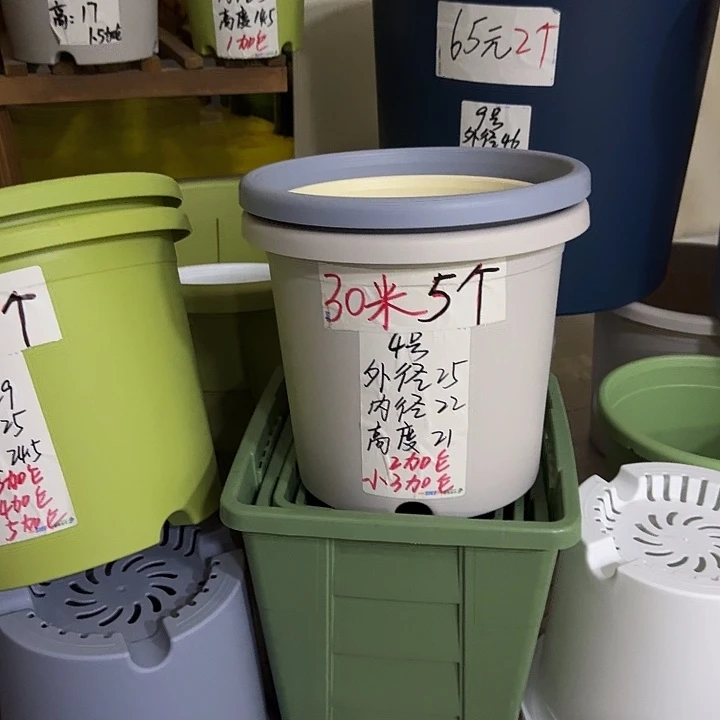 純白色4号无托10个