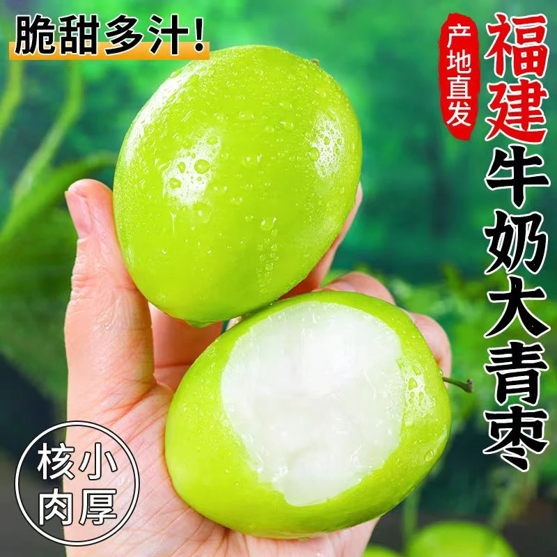 贵妃牛奶大青枣新鲜现摘当脆甜蜜枣冬枣农家水果苹果枣子9斤