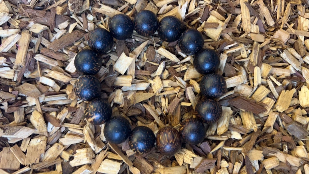 沉香z152 福来精选高端文玩