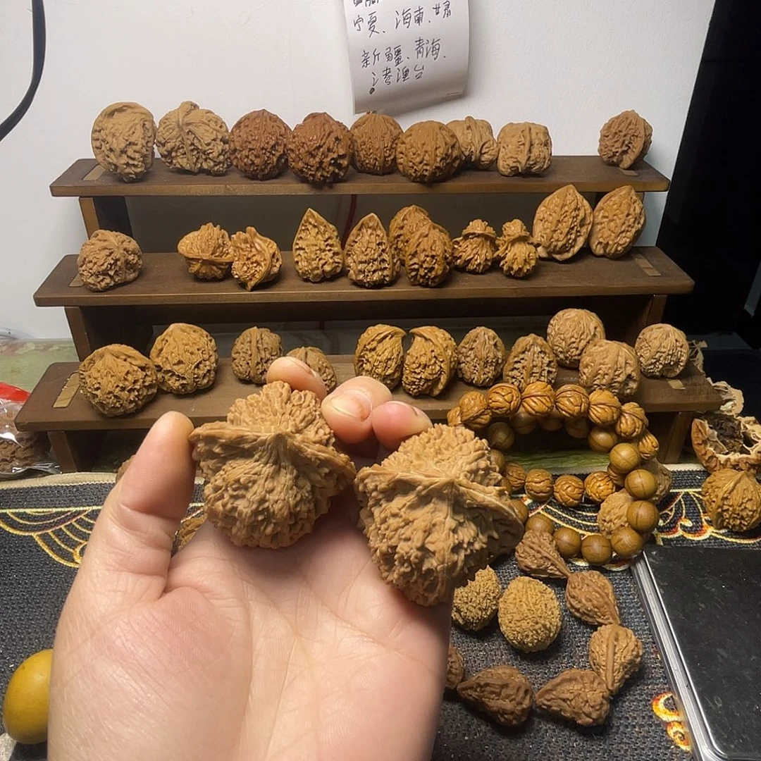 满天星全品46.45.38