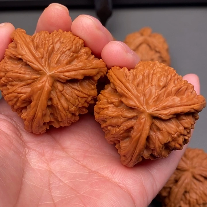 观***云木质类核桃核桃核桃