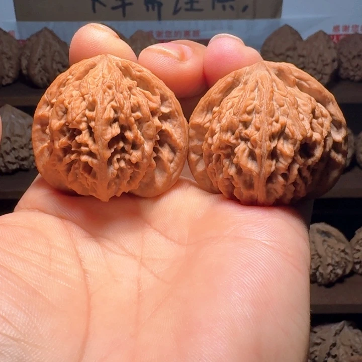 某***羊秦岭野生流星雨狮子头