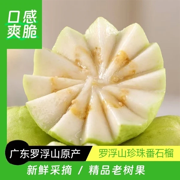 【爽脆口感】广东惠州罗浮山番石榴/芭乐新鲜现摘现发正宗芭乐水果