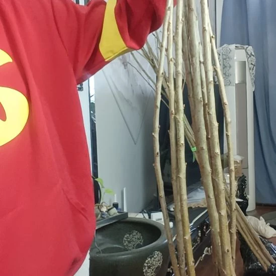 弗里斯克太平洋红10特级