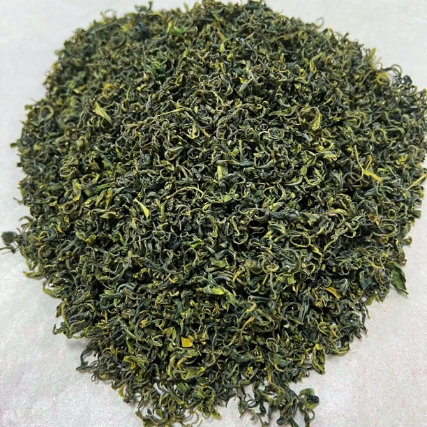 山东日照绿茶春茶爆款浓香板栗香耐泡口粮茶