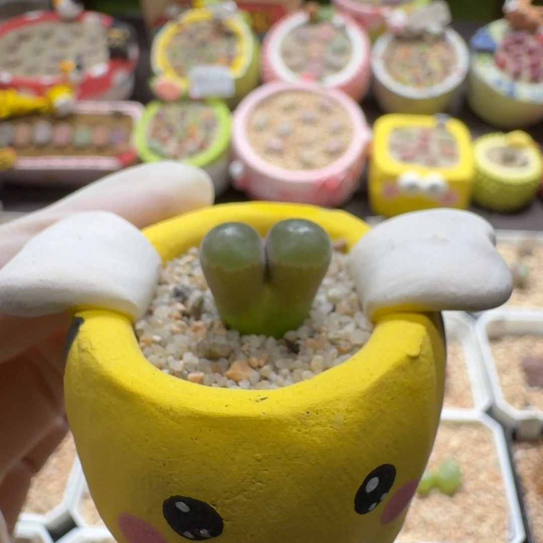 0918-021连盆带花磁铁