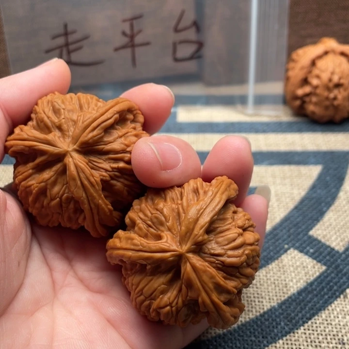 硬***磕核桃白狮子44核桃