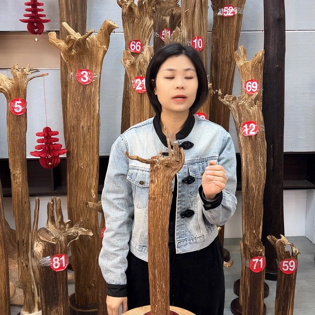 沉香摆件海南沉香摆件