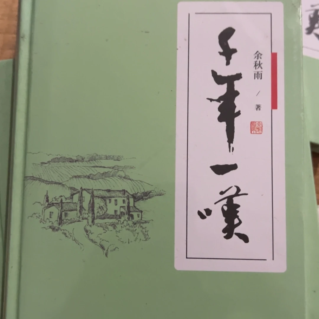 M***芯微瑕千年一叹五米一个