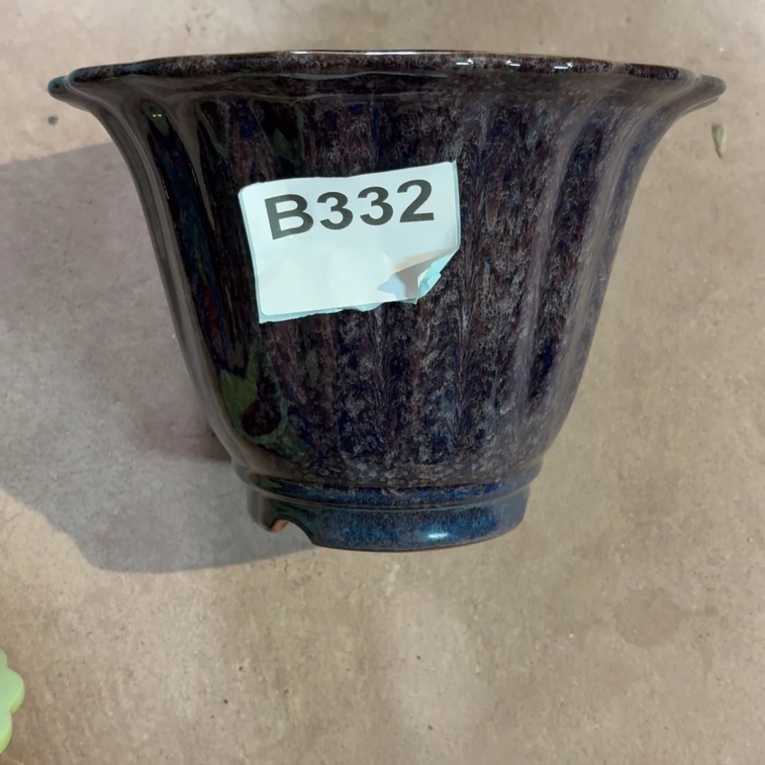 用***3花盆紫砂兰花6464946466464