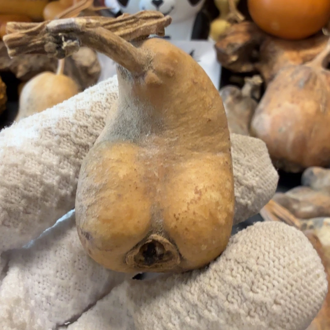 马***功676666677777777788