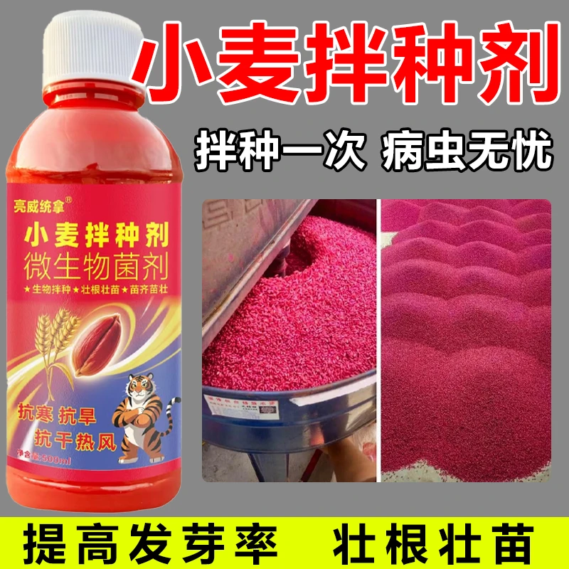 亮威小麦拌种剂微生物菌肥催芽生根壮苗抗菌抑虫拌种剂包衣剂