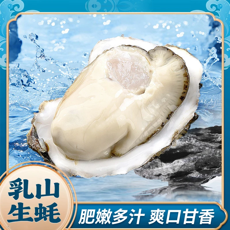 乳山生蚝7-9两/个 5斤尝鲜装/10斤家庭装 鲜活发货顺丰发货