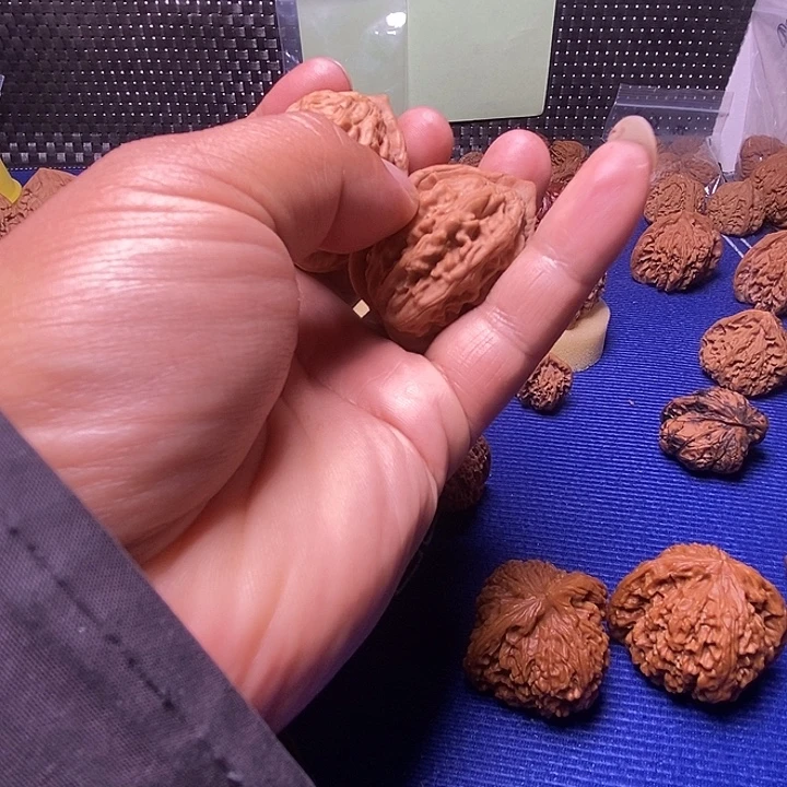 37尺大红袍福利价