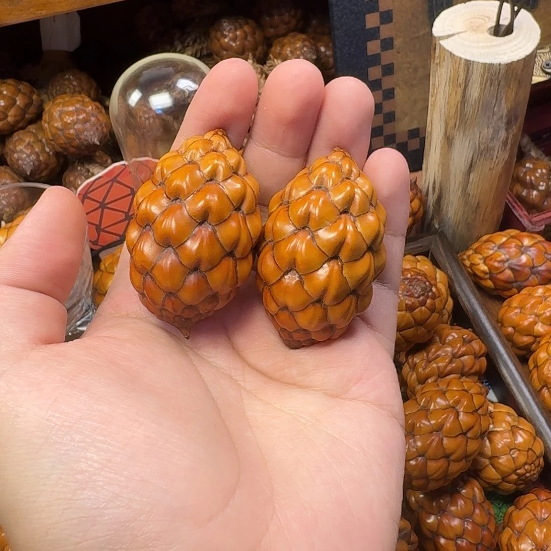 疾***草木草哥专拍粉酒椰298一对